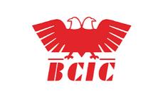 BCIC